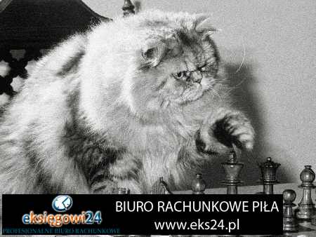 Pila biura rachunkowe