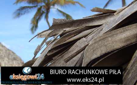 Biuro rachunkowe w Pile