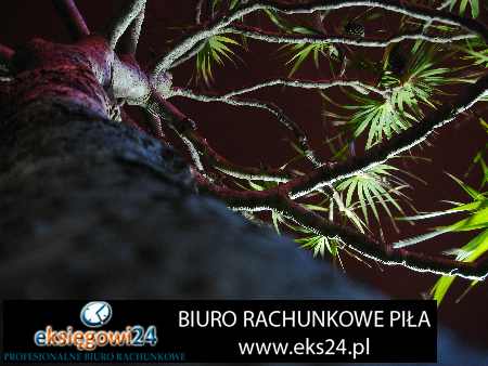 biuro rachunkowe Wałcz