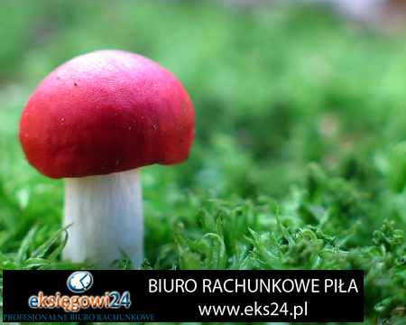 biura ksiegowe Pila