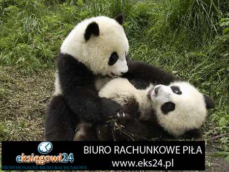 biuro rachunkowe Czarnków