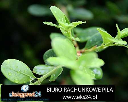 biuro rachunkowe Ujście