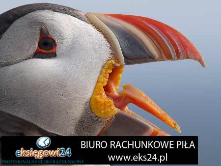 Biuro rachunkowe Pila
