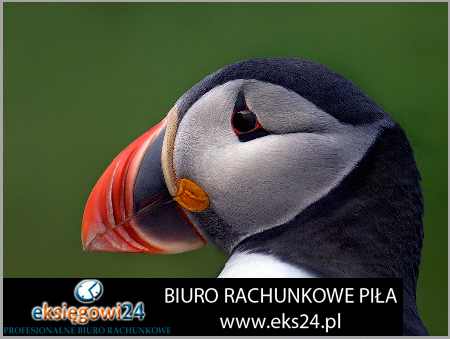 biuro rachunkowe Złotów