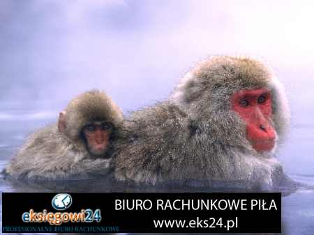 Biuro rachunkowe Pila
