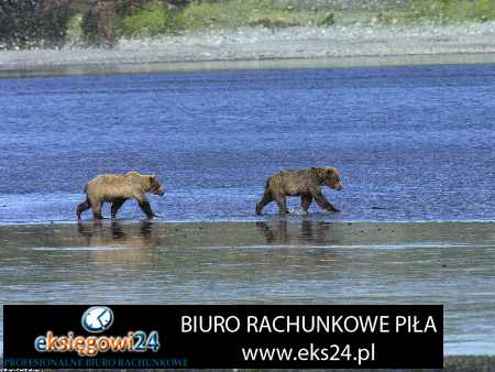 biuro rachunkowe Złotów