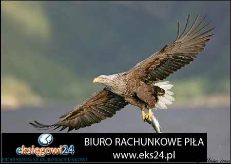 biuro rachunkowe Wałcz