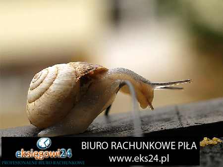 tapeta na ścianę nowoczesna