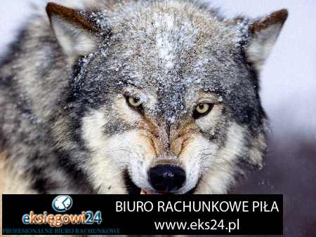 modne tapety ścienne