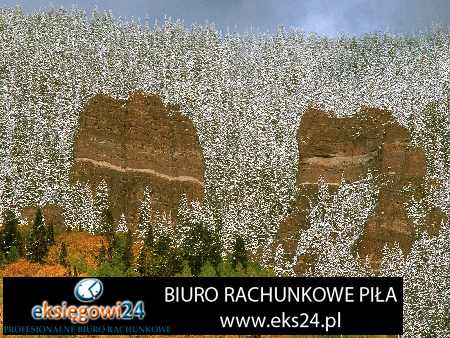 biuro rachunkowe Chodzież
