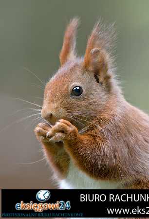 biuro rachunkowe Wałcz