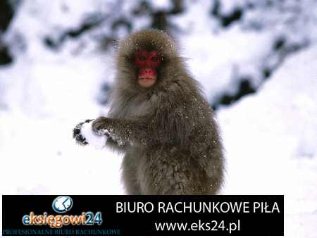 Czarnków biuro podatkowe