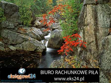 sklep internetowy z tapetami