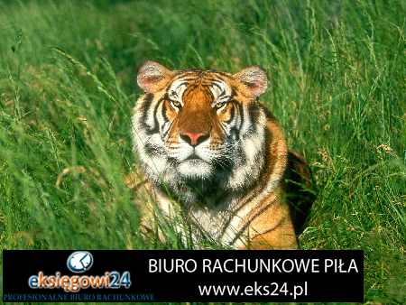biura rachunkowe Szczecinek