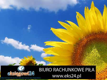 biura rachunkowe Piła