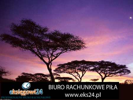 biura rachunkowe Trzcianka