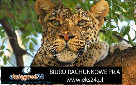 biuro rachunkowe Piła ceny