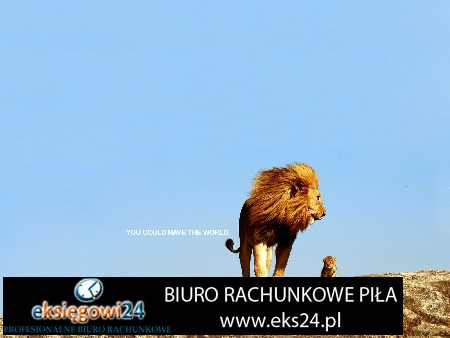 Biuro rachunkowe w Pile