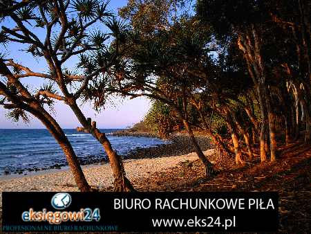 sklep internetowy tapety ścienne