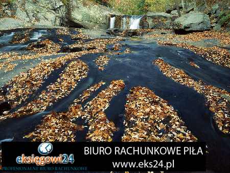 Pila biura rachunkowe