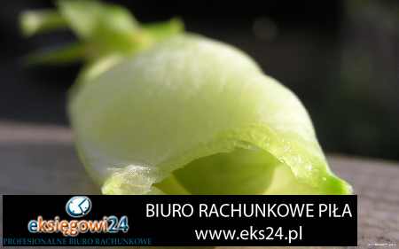 usługi rachunkowe Wałcz