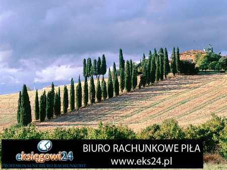 usługi księgowe Piła