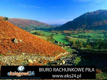 Biura rachunkowe w Pile