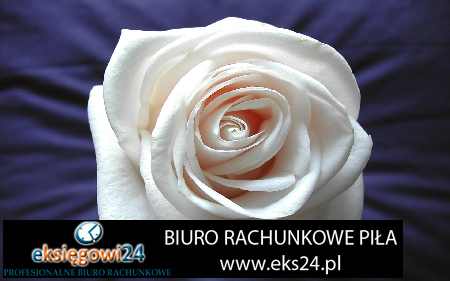 Wałcz biura księgowe