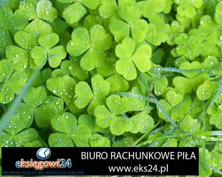 biuro podatkowe Piła