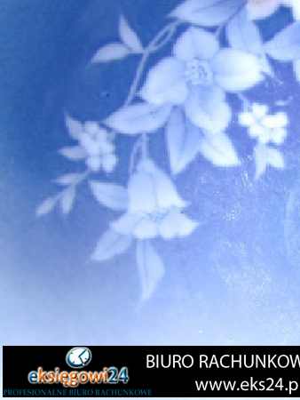 Ujście biuro podatkowe