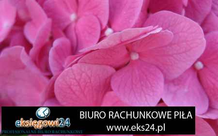 tapeta rasch winylowa