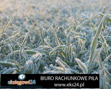 biuro rachunkowe Czarnków
