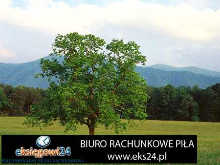 biuro księgowe Ujście