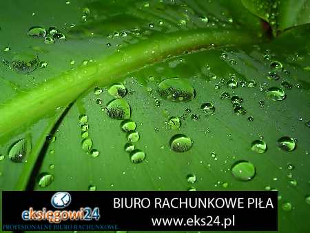 Czarnków biura księgowe