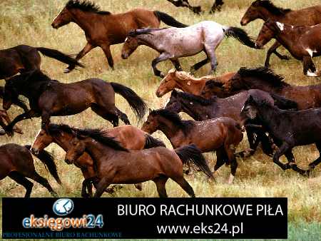 biuro podatkowe Pila