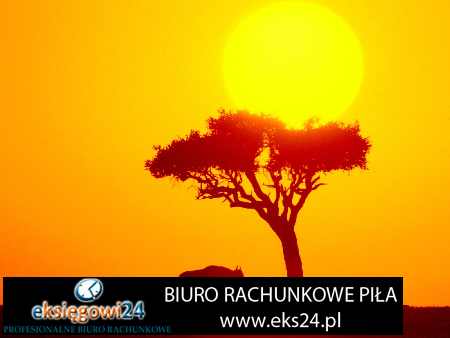 biuro rachunkowe Chodzież