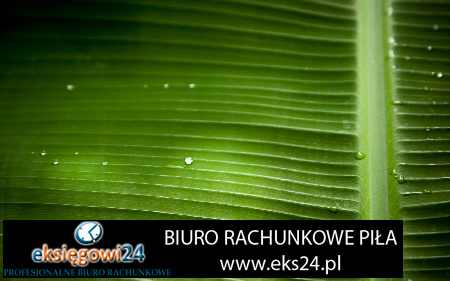 doradza podatkowy Ujście