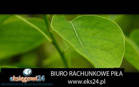 najlepsze biuro podatkowe Piła