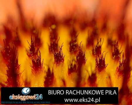 biuro rachunkowe Piła