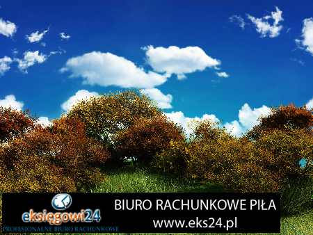 doradza podatkowy Trzcianka