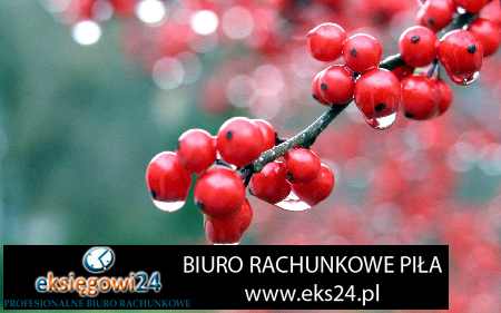 nowoczesna tapeta ścienna