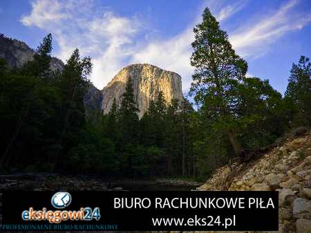 doradza podatkowy Kaczory